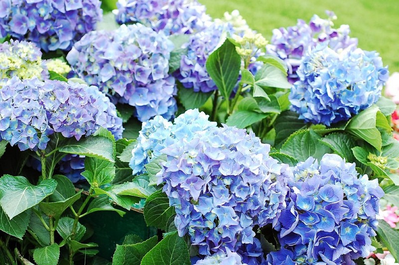 Dự báo thời tiết ngày 15/8/2025: Hà Nội và các khu vực trên cả nước Dự báo thời tiết ngày 15/8/2025: Hà Nội và các khu vực trên cả nước