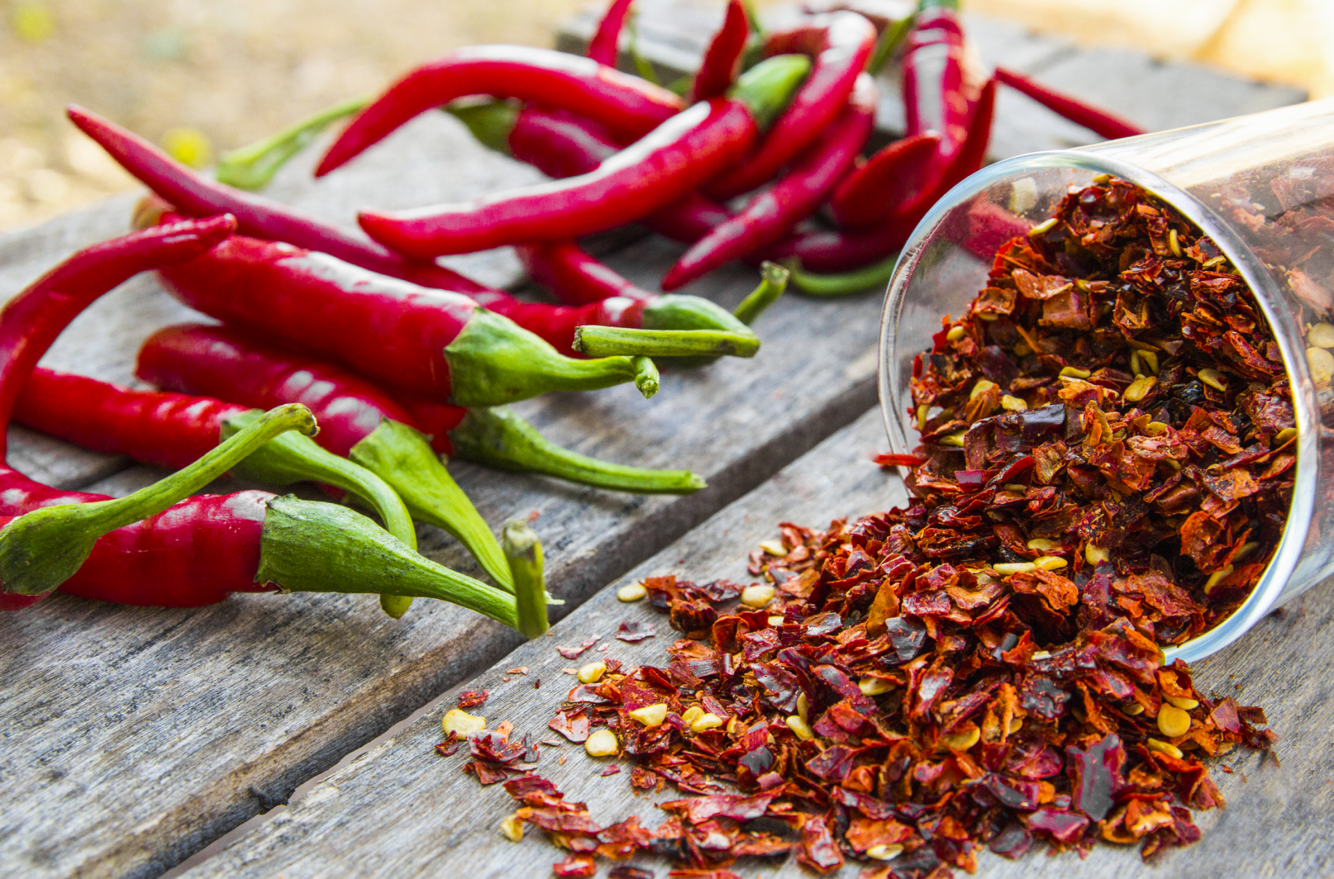 [E-Magazine] Cây ớt - “Thần dược” ít người biết