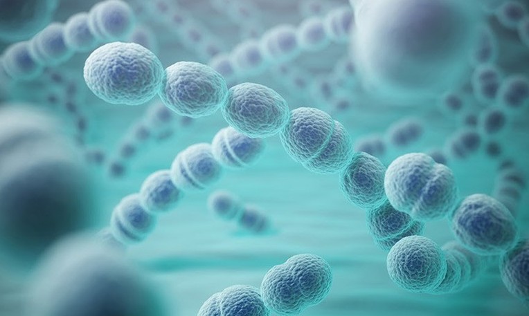 Tăng cường phòng ngừa viêm phổi, viêm màng não do phế cầu khuẩn gây ra