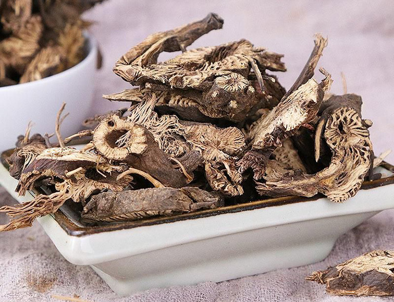 Thăng ma: Loài dược liệu có tác dụng giải độc thấu chẩn, thăng dương