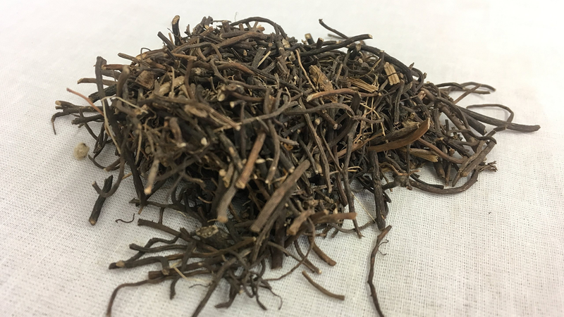 Uy linh tiên: Vị thuốc quý trong điều trị bệnh xương khớp Uy linh tiên: Vị thuốc quý trong điều trị bệnh xương khớp