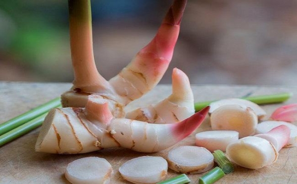 Khám phá những công dụng tuyệt vời của củ riềng với sức khỏe
