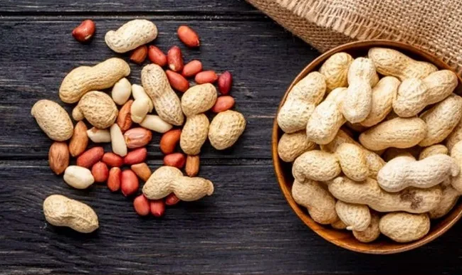 Lạc – Loại củ nhỏ nhưng lợi ích lớn cho sức khỏe Lạc – Loại củ nhỏ nhưng lợi ích lớn cho sức khỏe