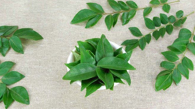 Lá cà ri: Siêu thực phẩm tốt cho sức khỏe toàn diện