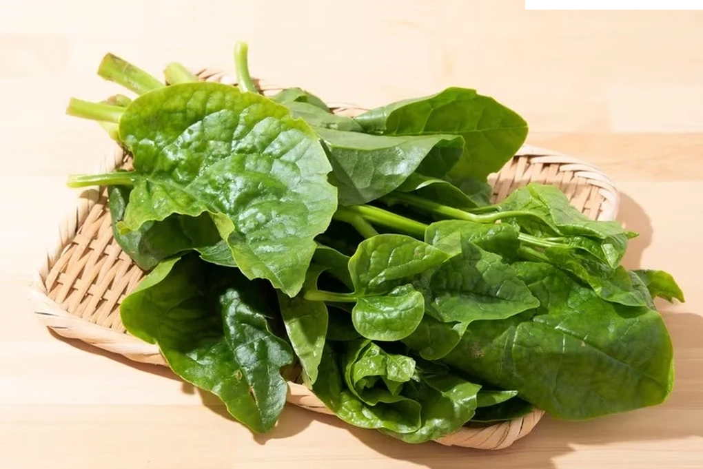 Rau mồng tơi: "Nhỏ mà có võ" với nhiều lợi ích sức khỏe