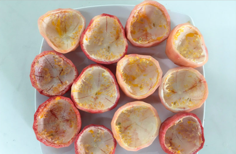 Vỏ chanh dây: Tài nguyên quý giá từ thiên nhiên