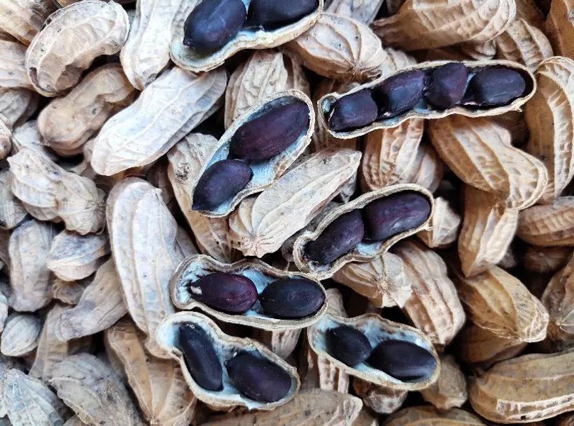 8 thực phẩm màu đen bạn nên bổ sung vào thực đơn hàng ngày