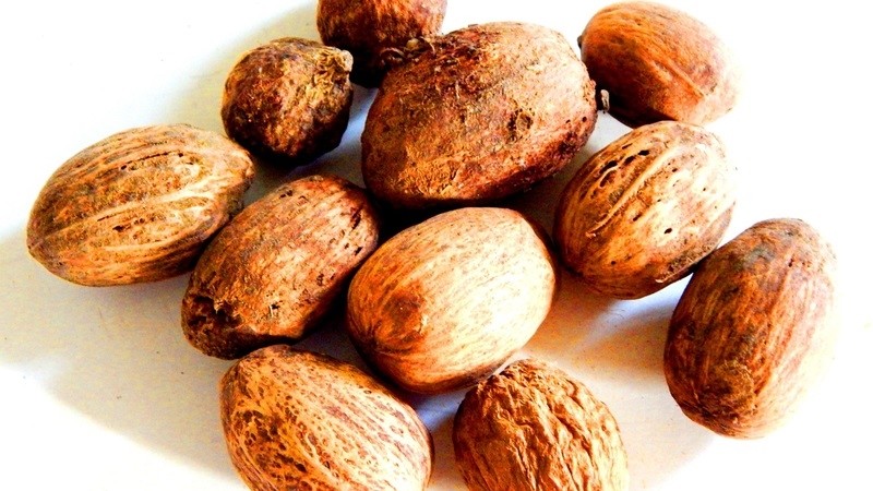 Những lưu ý khi dùng cây tu hú làm thuốc