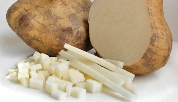 Củ đậu Củ đậu