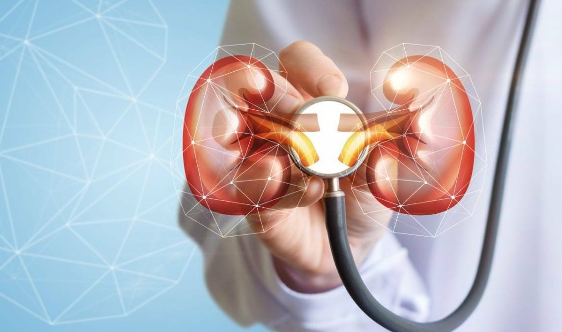 [Infographic] Làm gì để phòng tránh tái phát sỏi thận?