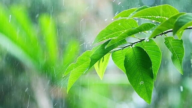 Dự báo thời tiết ngày 27/8/2025: Hà Nội và các khu vực trên cả nước