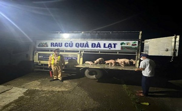 Công an tỉnh Đắk Lắk quyết liệt phòng, chống bệnh liên cầu lợn sang người