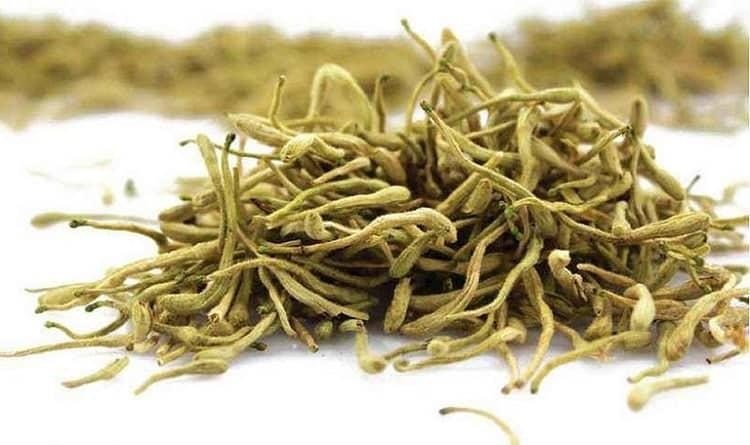 Bộ Y tế thu hồi toàn bộ dược liệu Kim ngân hoa của Hợp tác xã dược liệu Ninh Hiệp vì không đạt tiêu chuẩn chất lượng