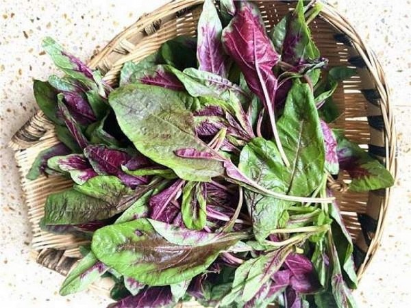 Rau dền: "Siêu thực phẩm" giá rẻ mang lại lợi ích sức khỏe bất ngờ
