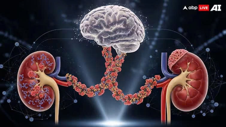 Phát hiện mới: Bệnh Parkinson có thể bắt nguồn từ thận