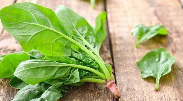 [Infographic] Rau chân vịt - "Kho dinh dưỡng" cho sức khỏe