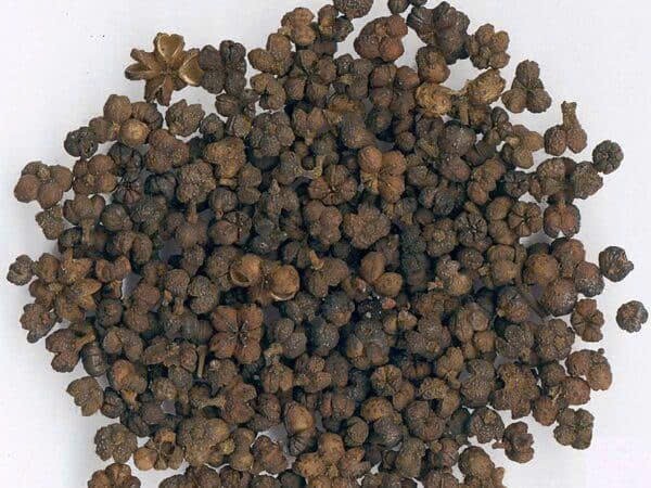 Dược liệu Ngô thù du khô