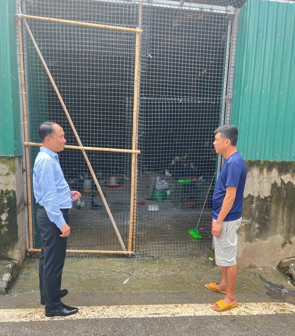 Bồ câu miền Nam bay trên bầu trời Ba Đình lịch sử: Thông điệp tri ân và khát vọng hòa bình