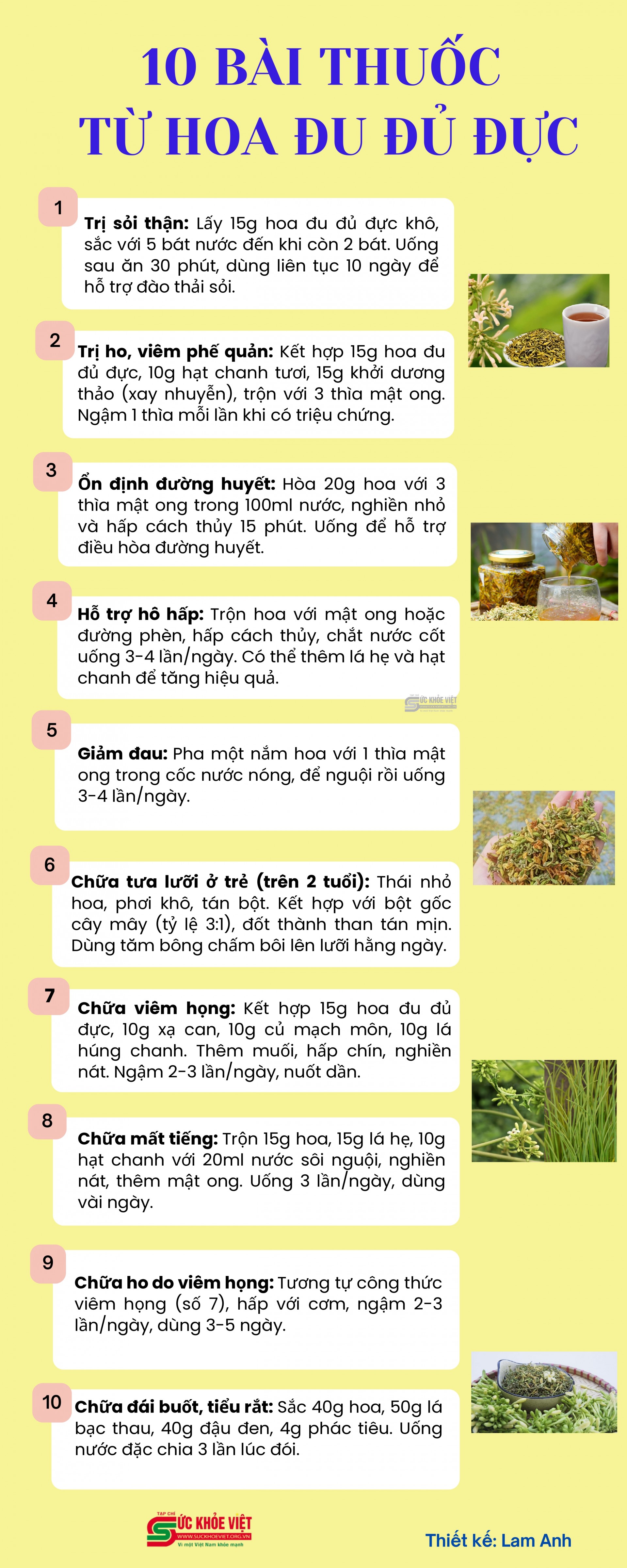 [Infographic] 10 bài thuốc từ hoa đu đủ đực