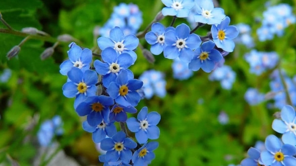 Dự báo thời tiết ngày 7/9/2025: Bắc Bộ nắng nóng