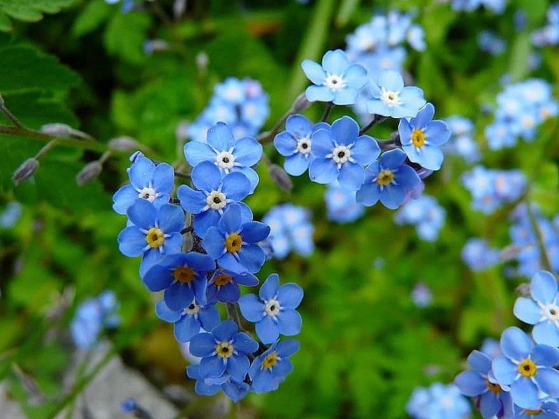 Dự báo thời tiết đêm nay và ngày mai 7/9: Hà Nội và các khu vực trên cả nước