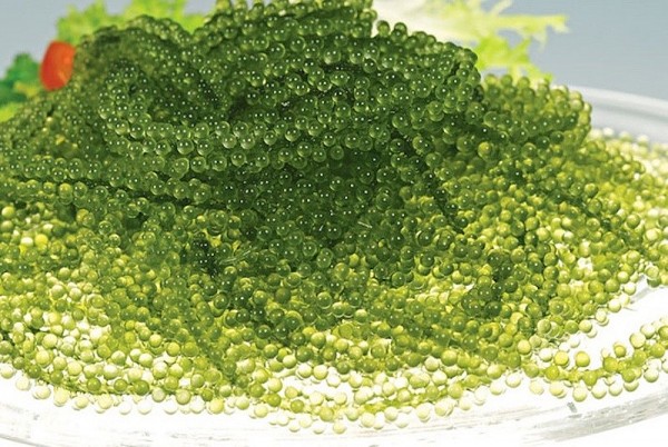 8 loại thực phẩm giàu đồng tốt cho sức khỏe