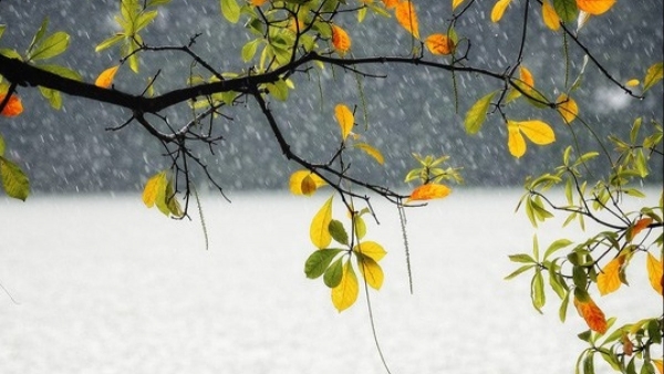 Dự báo thời tiết ngày 10/9/2025: Mưa rào và dông rải rác