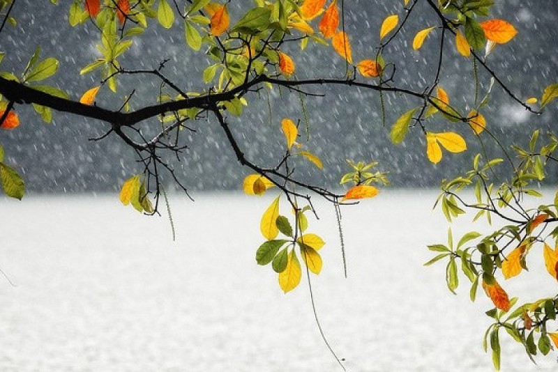 Dự báo thời tiết đêm nay và ngày mai 10/9: Hà Nội và các khu vực trên cả nước