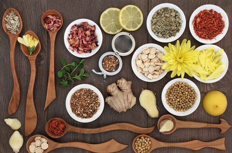 Phát huy thế mạnh và tiềm năng của y dược cổ truyền