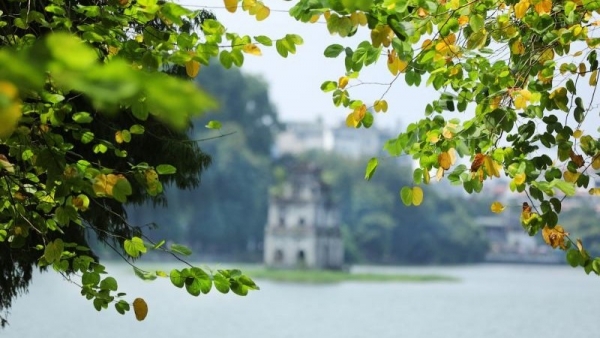 Dự báo thời tiết ngày 12/9/2025: Mưa rào và dông rải rác, gió nhẹ