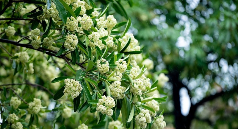 Dự báo thời tiết ngày 13/9/2025: Hà Nội và các khu vực trên cả nước