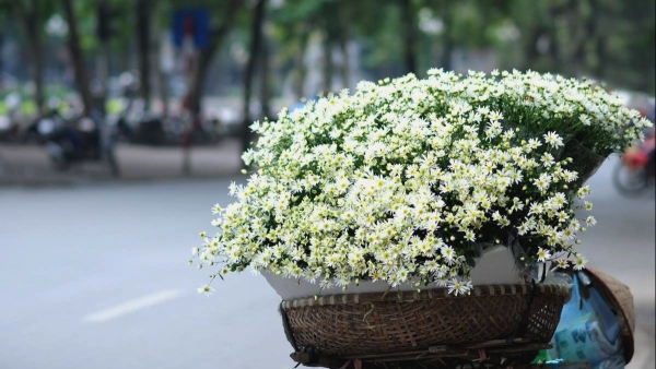 Dự báo thời tiết ngày 14/9/2025: Ngày nắng, có lúc mưa dông