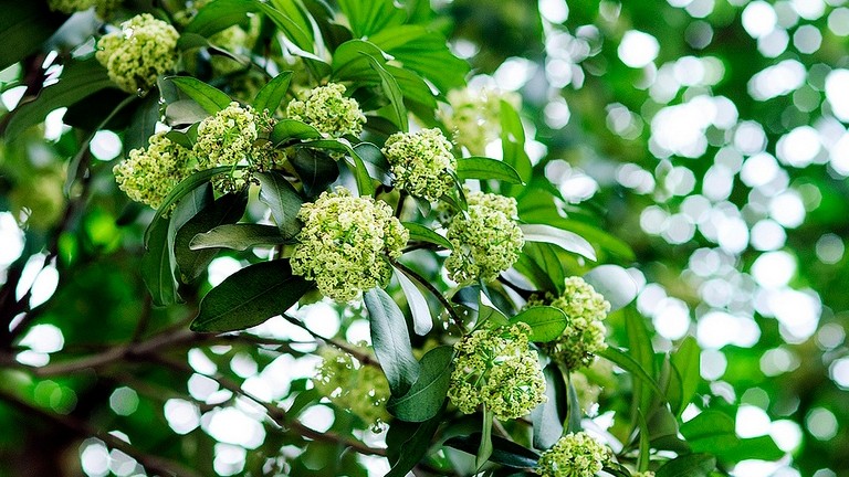 Dự báo thời tiết ngày 16/9/2025: Mưa rào và dông vài nơi