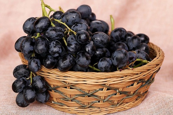 Tăng cường sức khỏe tóc với 6 thực phẩm màu đen