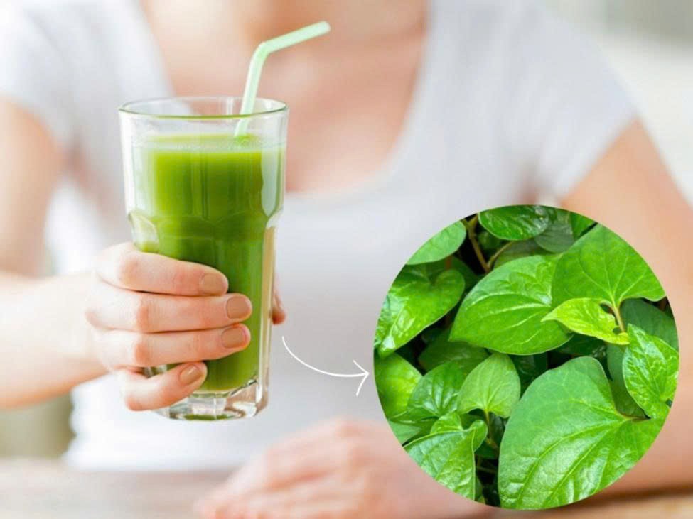 Mẹo trị bệnh trĩ nội và trĩ ngoại tại nhà bằng rau diếp cá Mẹo trị bệnh trĩ nội và trĩ ngoại tại nhà bằng rau diếp cá