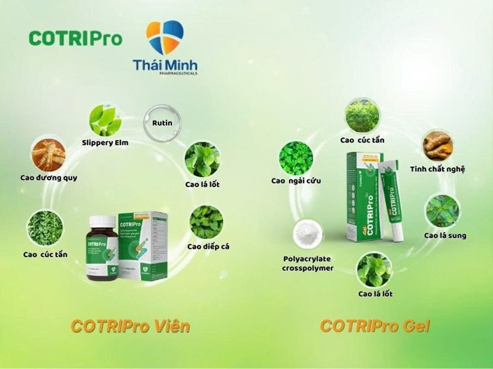 Mẹo trị bệnh trĩ nội và trĩ ngoại tại nhà bằng rau diếp cá Mẹo trị bệnh trĩ nội và trĩ ngoại tại nhà bằng rau diếp cá