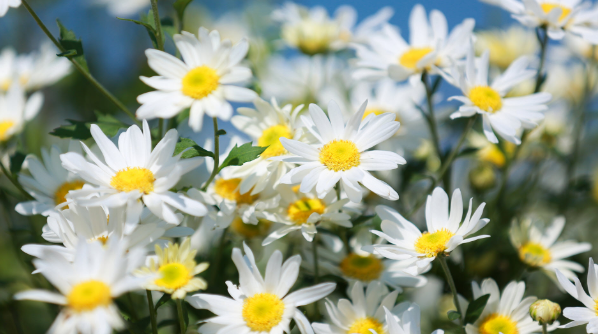 Dự báo thời tiết ngày 18/9/2025: Hà Nội và các khu vực trên cả nước