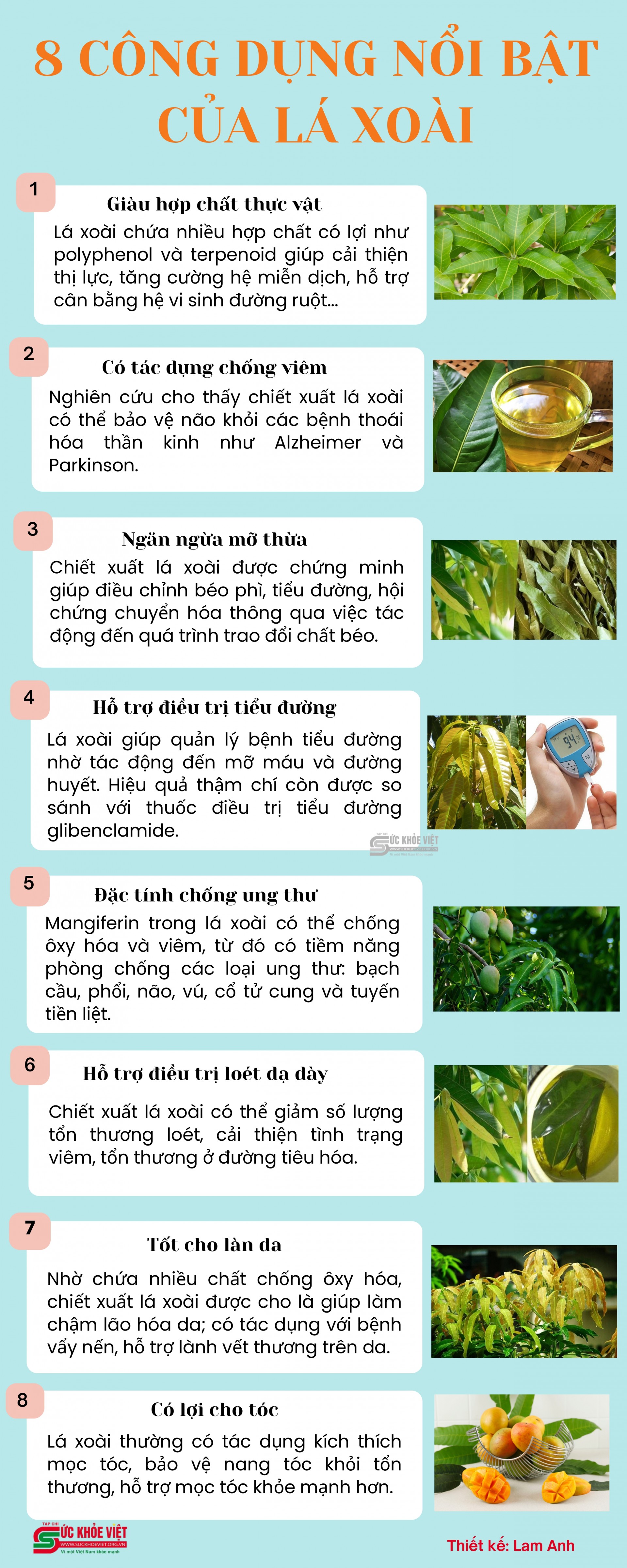 [Infographic] 8 công dụng nổi bật của lá xoài