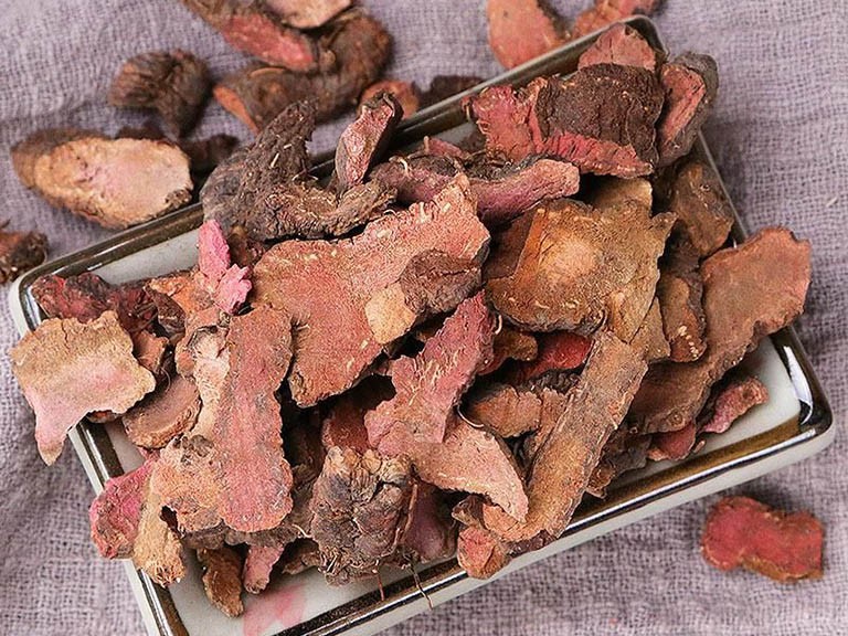 Những bài thuốc chữa bệnh từ củ nâu Những bài thuốc chữa bệnh từ củ nâu