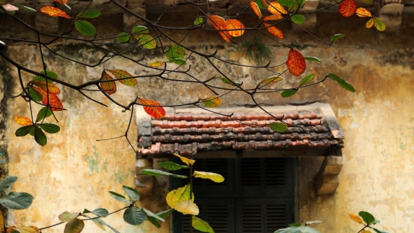 Dự báo thời tiết ngày 20/9/2025: Mưa rào và dông vài nơi