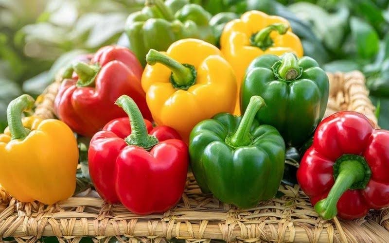 Lợi ích khi ăn ớt chuông là gì? Tổng hợp 10 món ngon từ ớt chuông không thể  bỏ lỡ