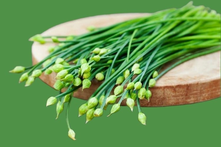 Bông hẹ (bông hành) là gì? Bông hẹ có tác dụng gì với sức khỏe?