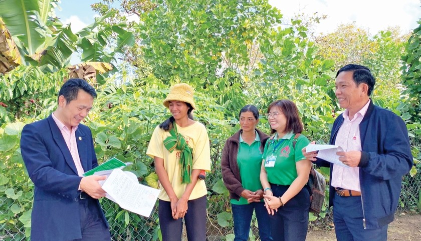 Lãnh đạo NHCSXH Việt Nam kiểm tra, tuyên truyền, hướng dẫn người dân sử dụng vốn vay tại Gia Lai