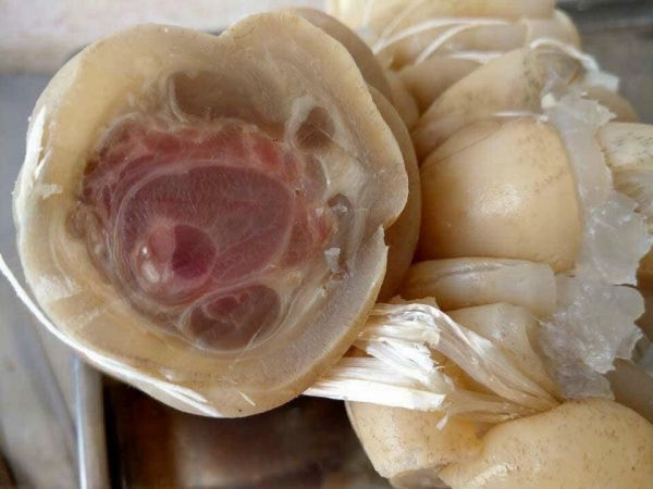 Gân bò - “Nhân sâm” giá rẻ mang lại nhiều lợi ích cho sức khỏe