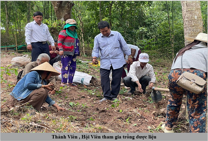 Trung ương Hội Nam Y Việt Nam làm việc với Chi hội Nam Y tỉnh An Giang về mô hình phát triển cây dược liệu Trung ương Hội Nam Y Việt Nam làm việc với Chi hội Nam Y tỉnh An Giang về mô hình phát triển cây dược liệu