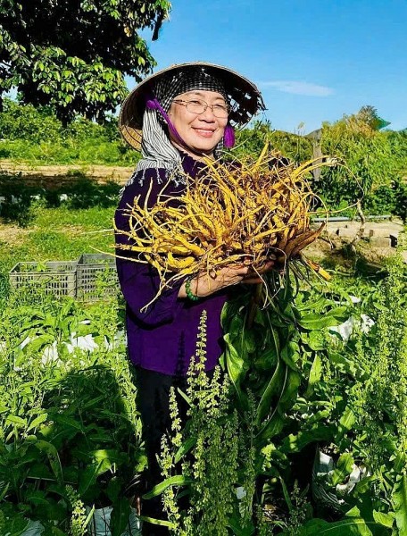 Từ nghiên cứu đến kỳ vọng: “Sâm Nữ Hoàng” và khát vọng nâng tầm dược liệu Việt Nam