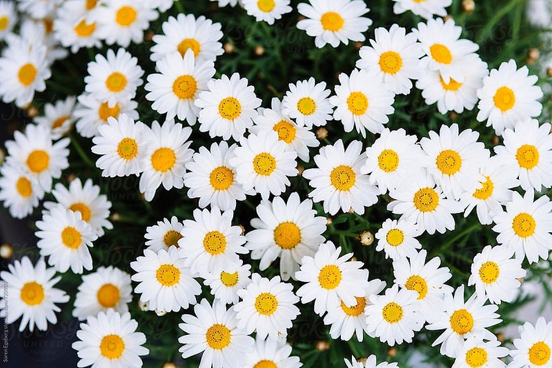 Dự báo thời tiết ngày 25/9/2025: Hà Nội và các khu vực trên cả nước