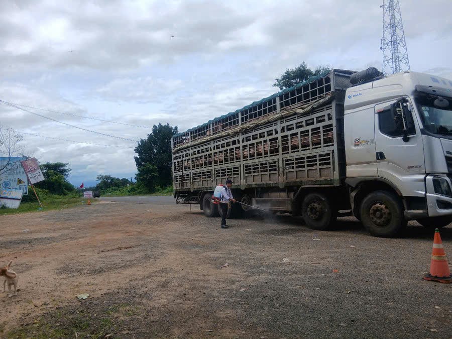 Gia Lai: Phát hiện 399 vụ vi phạm buôn lậu, gian lận thương mại và hàng giả