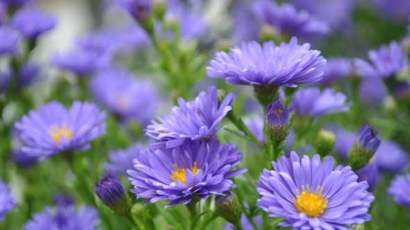 Dự báo thời tiết ngày 27/9/2025: Mưa rào và dông trên cả nước