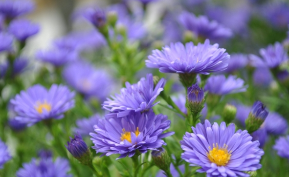 Dự báo thời tiết đêm nay và ngày mai 27/9: Hà Nội và các khu vực trên cả nước